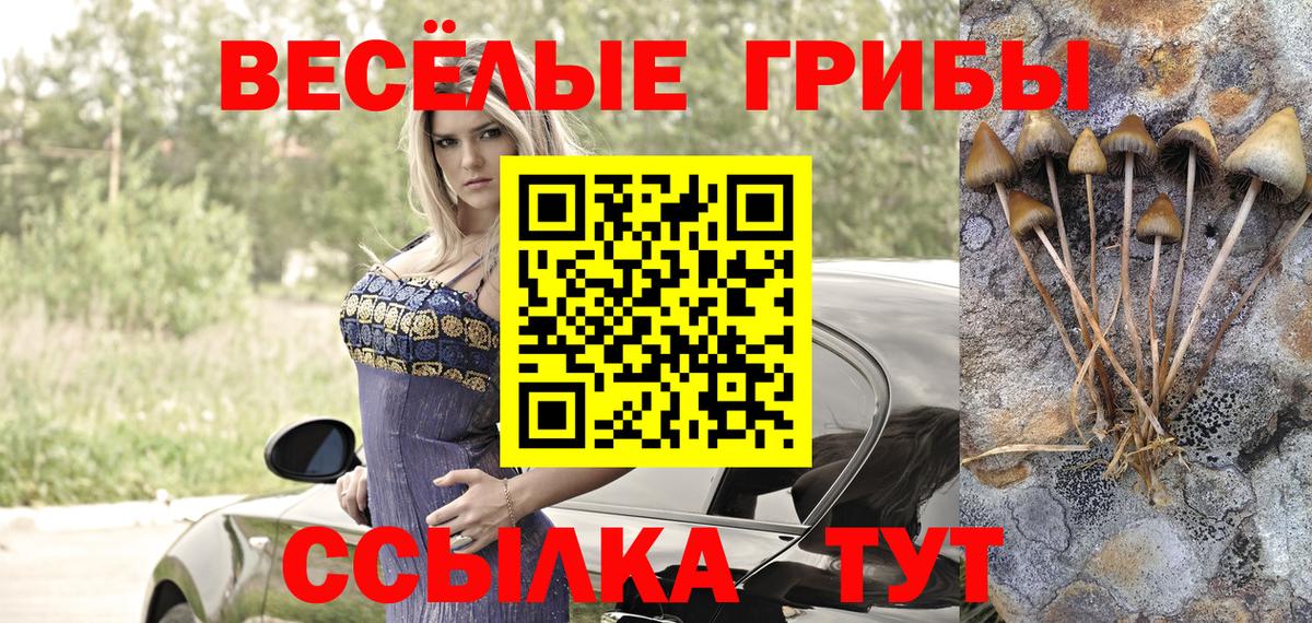 Осинники  Галлюциногенные грибы мухоморы  Вход с VPN 